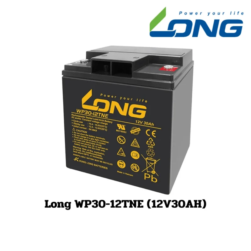 Long WP30-12TNE (12V30AH)