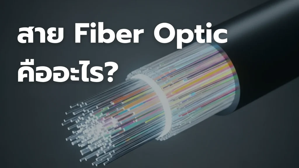 สาย Fiber Optic