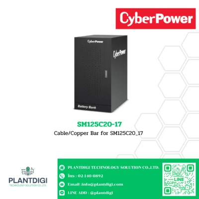 แบตเตอรี่ CyberPower SM125C20-17