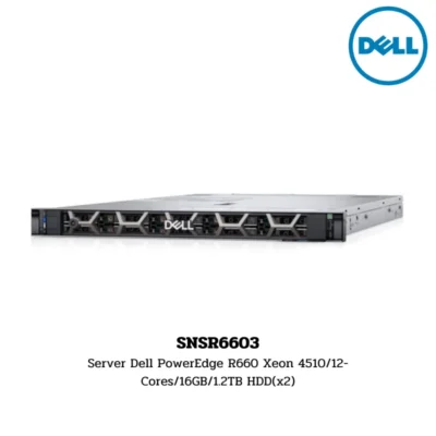 (SNSR6603) Server Dell PowerEdge R660 Xeon 4510/12-Cores/16GB/1.2TB HDD(x2)