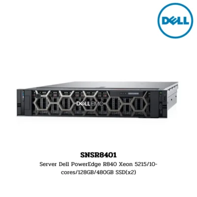 (SNSR8401) Server Dell PowerEdge R840 Xeon 5215/10-cores/128GB/480GB SSD(x2)