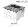 (P3010DW) Printer Pantum Network