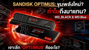 SanDisk Optimus คืออะไร? 3 ไลน์หลักมีอะไรบ้าง ทำไมถึงมาแทน WD_BLACK และ WD Blue